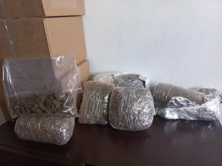 PM de Toledo apreende maconha após tentativa de despacho da droga através dos Correios