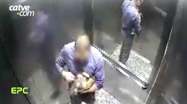 Médico acusado de matar cachorra faz acordo com Ministério Público e tem pena anulada pela Justiça