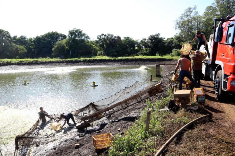 Com aumento em todas as faixas, salário mínimo regional do Paraná será o maior do país; veja os valores