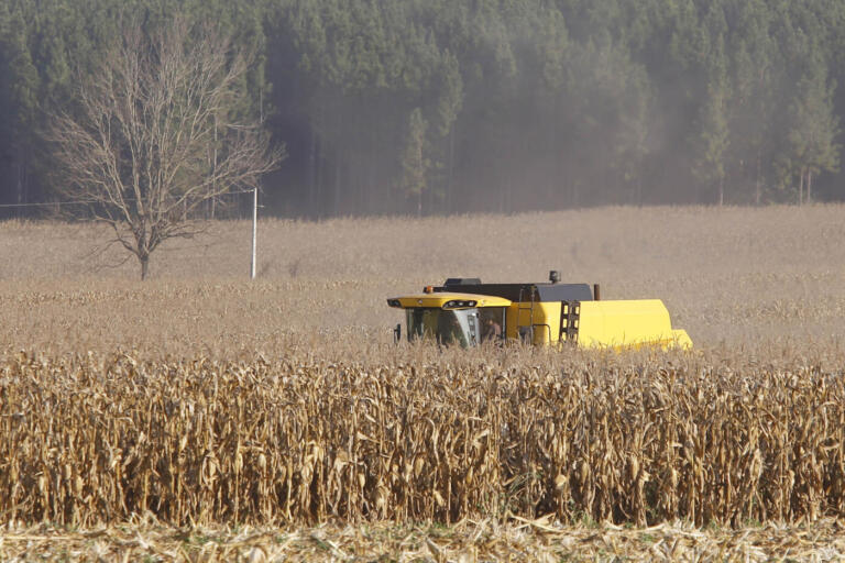 Apesar do clima, agropecuária do Paraná manteve alto rendimento em 2022