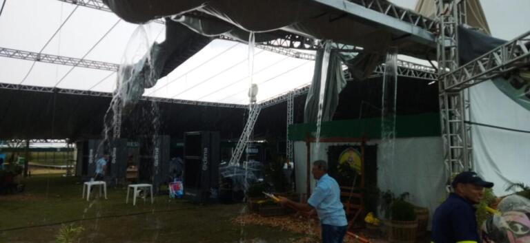 Vendaval deixa rastro de destruição no Dia de Campo Copagril; veja fotos e vídeos