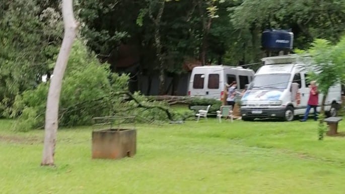 Temporal e queda de árvore entre veículos assusta campistas em Mercedes