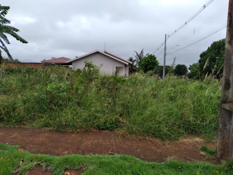 Proprietários de lotes vagos com mato alto serão notificados pela Prefeitura de Quatro Pontes
