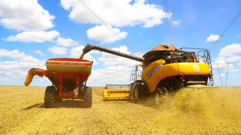 Exportações ultrapassam R$ 10 bilhões e batem recorde em janeiro