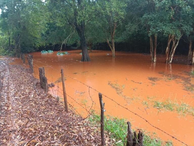 Chuva intensa causa estrago em lavouras e faz riachos transbordarem em Mercedes