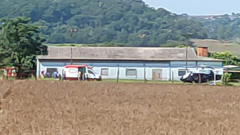 Agricultor rondonense é atacado por enxame de abelhas e é transferido para hospital da região