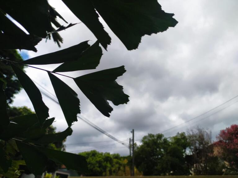 Defesa Civil alerta para risco de temporais em municípios do Oeste