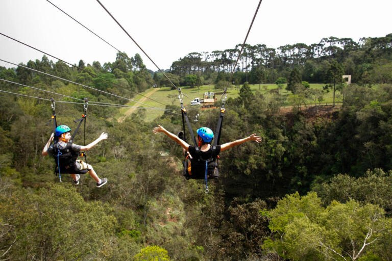 Paraná encerrou 2022 com alta de 4,4% no setor de serviços