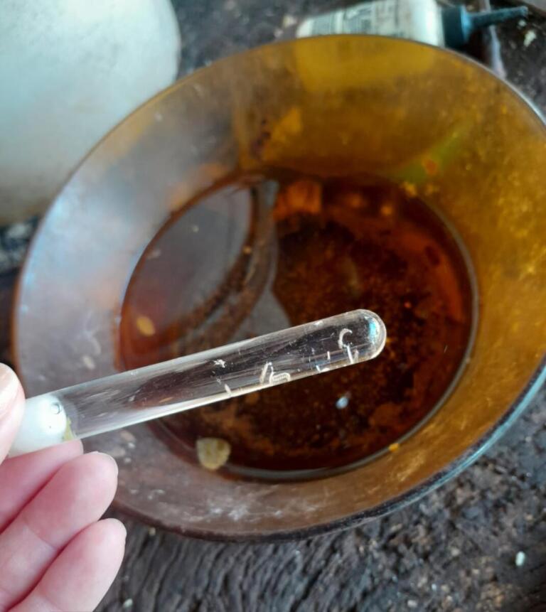 Testagem para dengue registra alta de 900% no Paraná já no início deste ano