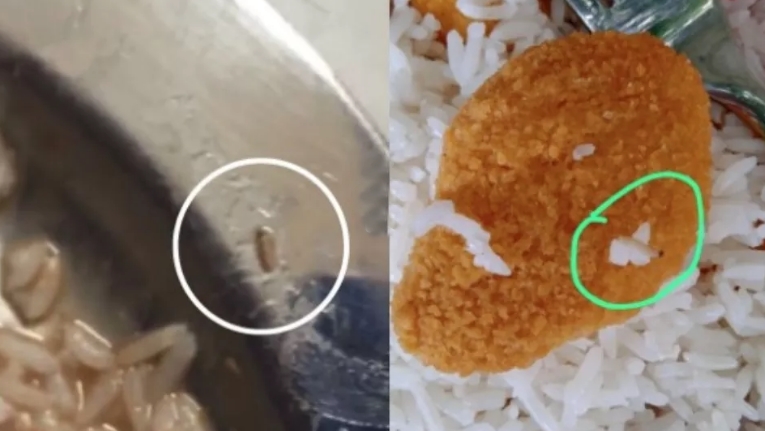 Arroz com larvas é servido em merenda de colégio de município da região; Estado emite nota
