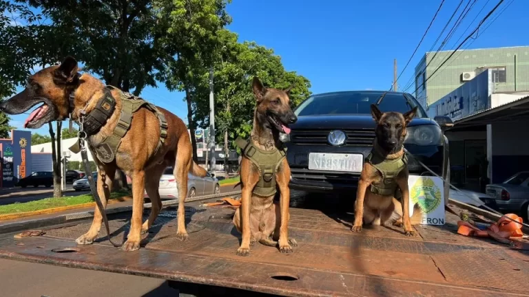 Carro roubado por elementos que se passaram por oficiais de Justiça é recuperado em Quatro Pontes