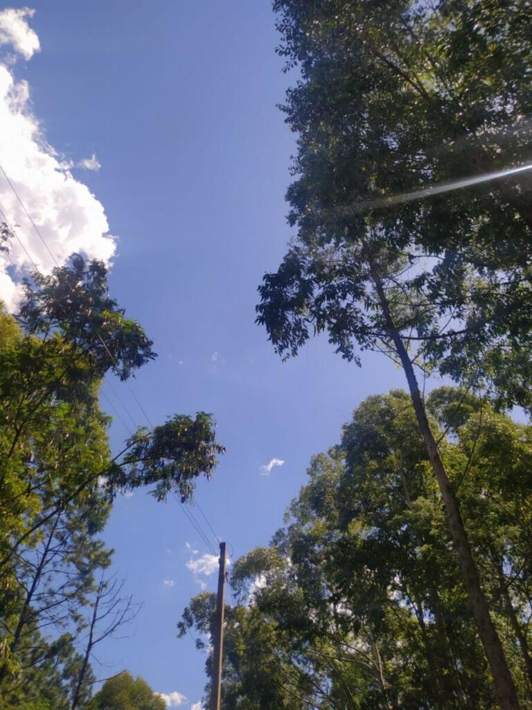 Chuva tímida e dias quentes: Confira a previsão do tempo para a semana em Marechal Rondon