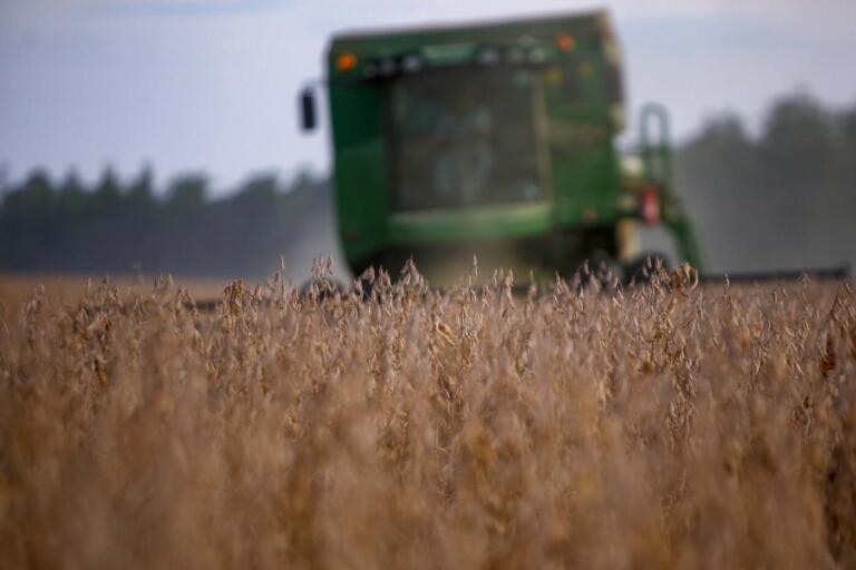 Paraná deve colher a maior safra de soja da história, estima Deral