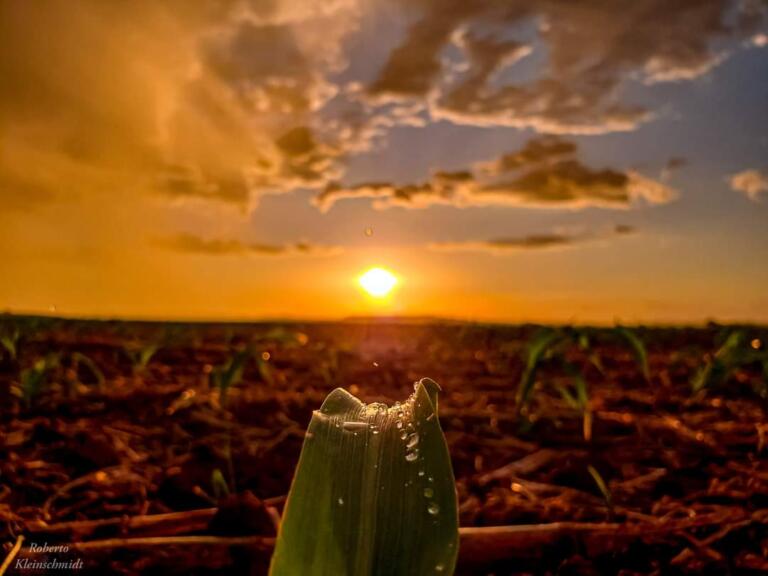 Mudanças climáticas estão impactando agronegócio brasileiro, diz pesquisador