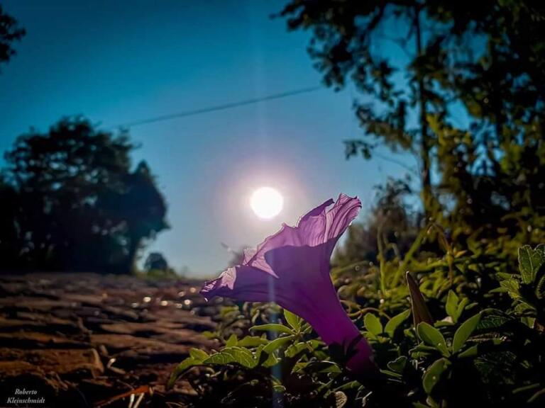 Abra os olhos da alma