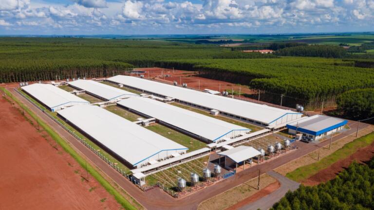 Unidade Produtora de Leitões Desmamados da C.Vale vai alojar cinco mil matrizes