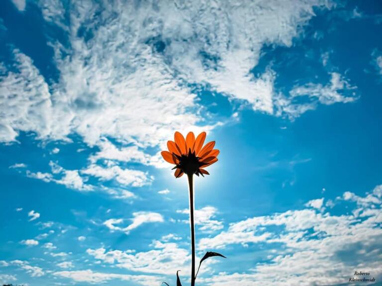 Deus vê o coração