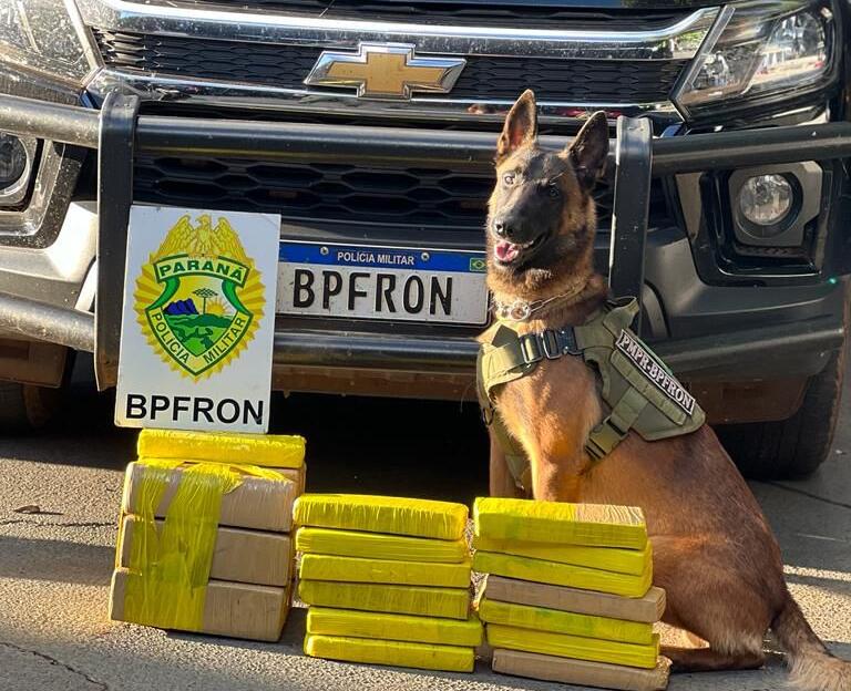 BPFron apreende drogas e traficante em abordagem a ônibus na BR-163