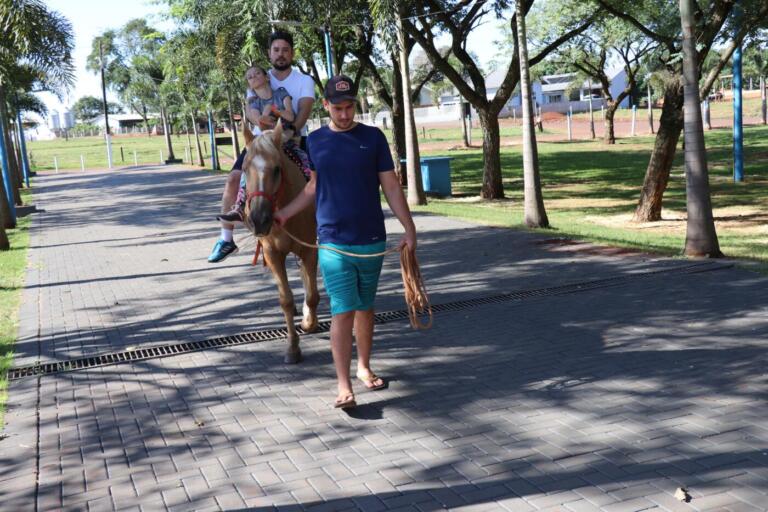 Pato Bragado passa a dispor de sessões de equoterapia pelo SUS