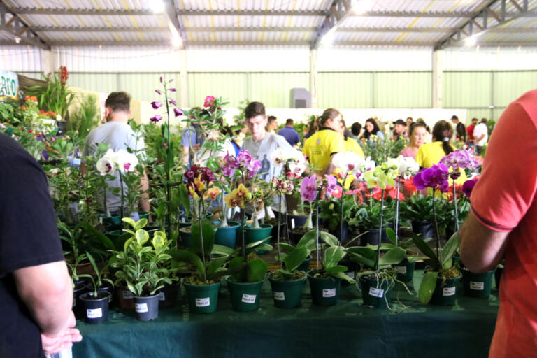 Feira de Flores acontece dias 15 e 16 de abril em Maripá