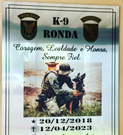 Cão policial do BPFron morre durante abordagem em porto clandestino