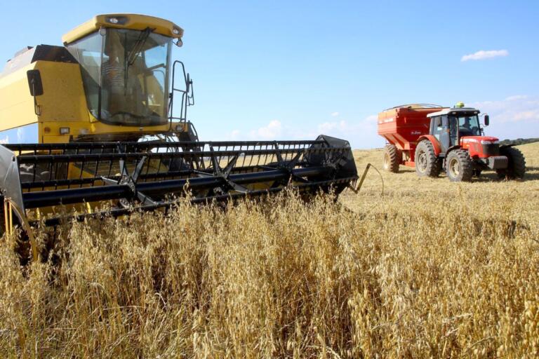 El Niño voltou: como fica o clima para a agricultura?