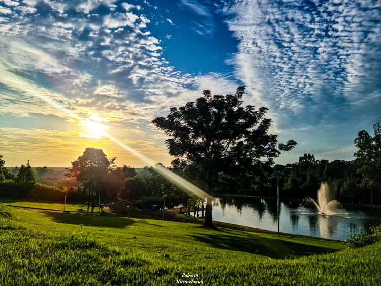 Felicidade é querer ser