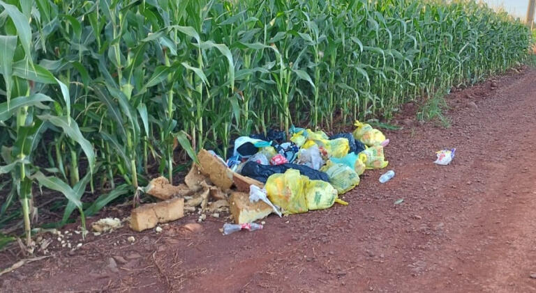 Flagrante de crime ambiental gera multa para morador de Marechal Rondon