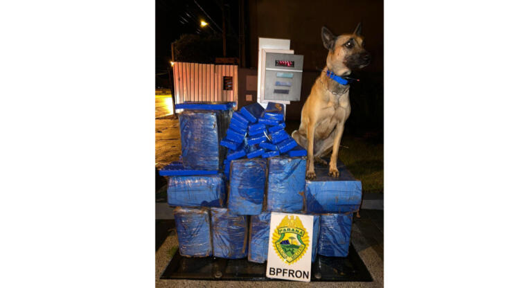 BPFron apreende droga em veículo na cidade de Toledo