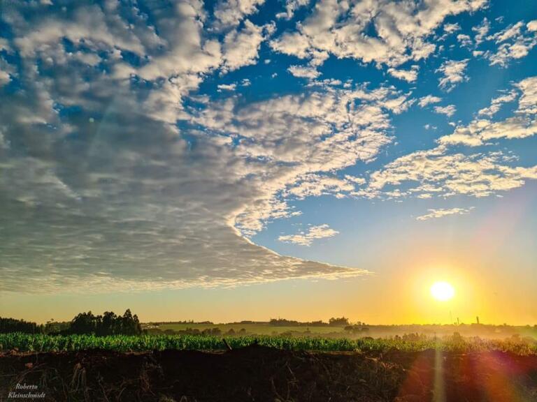 O amor é como a flor
