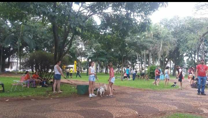 7º Encontro de Cães acontece domingo em Marechal Rondon