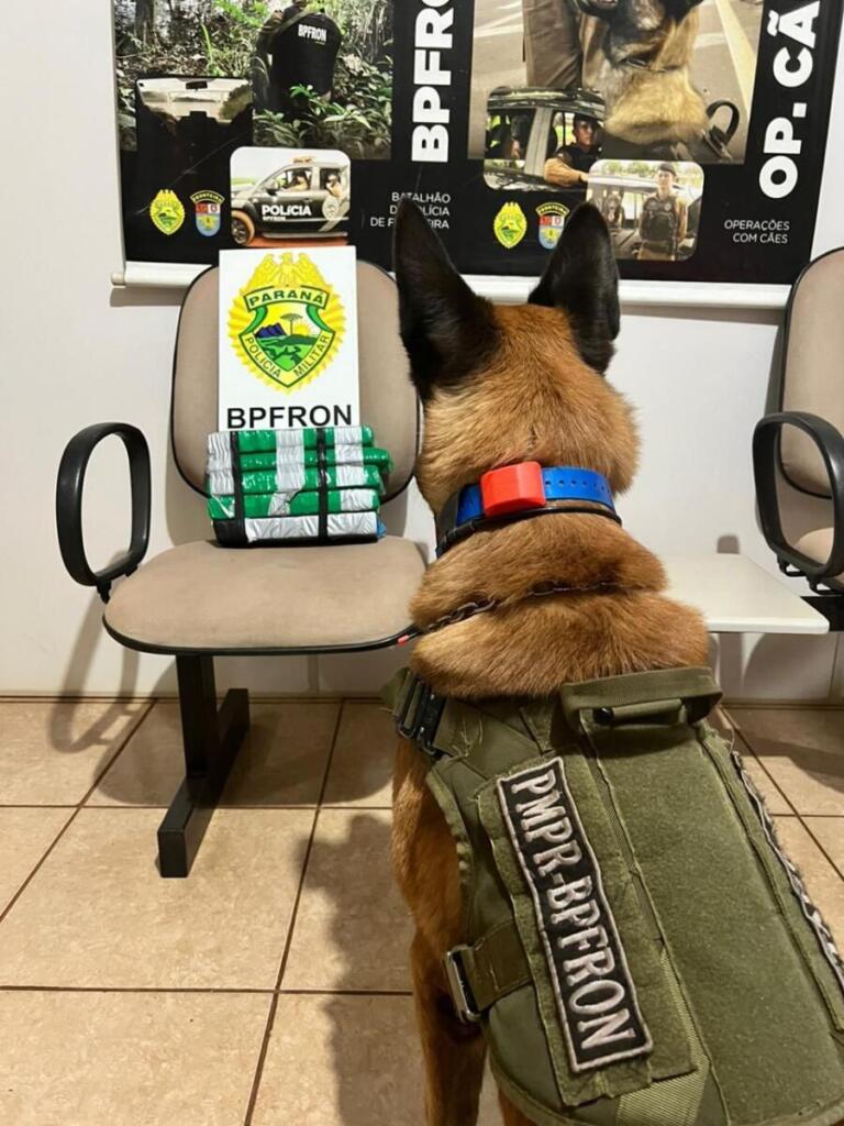 BPFron apreende drogas em Entre Rios do Oeste