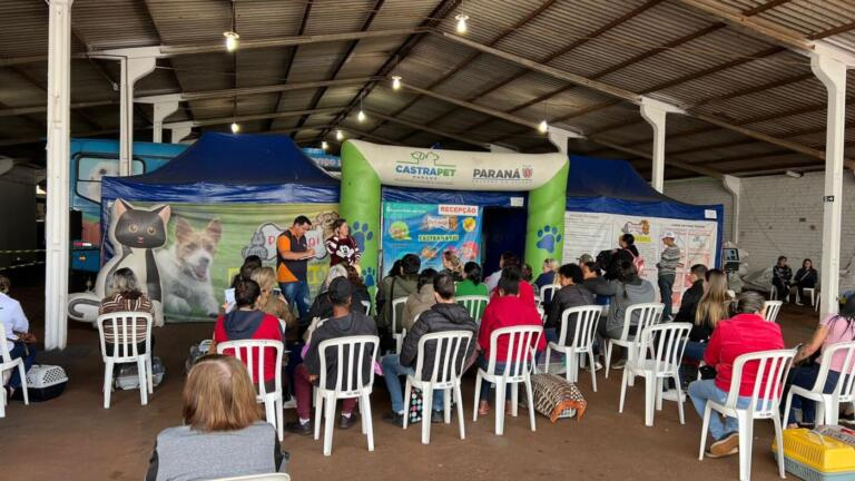 621 animais foram castrados através do Castrapet em Marechal Rondon