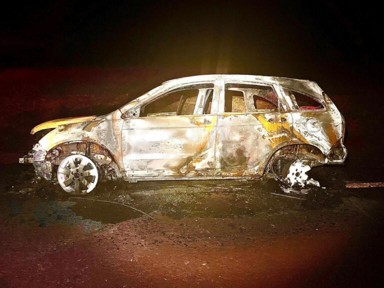 Veículo fica destruído após pegar fogo na rodovia entre Vila Nova e Novo Sarandi