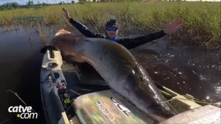 Pirarucu de 2,5 metros “estoura” boca de pescador na Amazônia