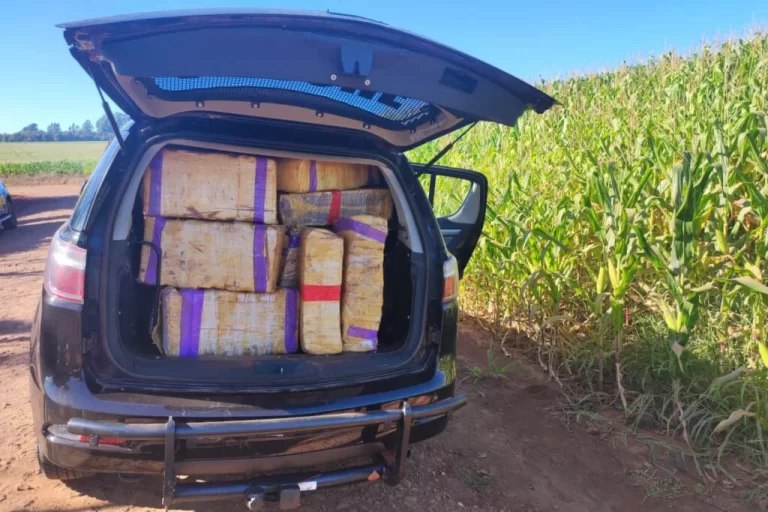 Polícia Militar apreende mais de uma tonelada de maconha em Cascavel