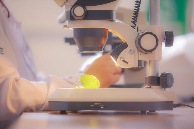 Inscrições para concurso público com 121 vagas da Unioeste começam na próxima terça-feira