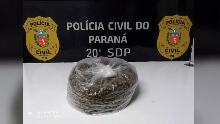 Gestante de oito meses é flagrada transportando maconha 