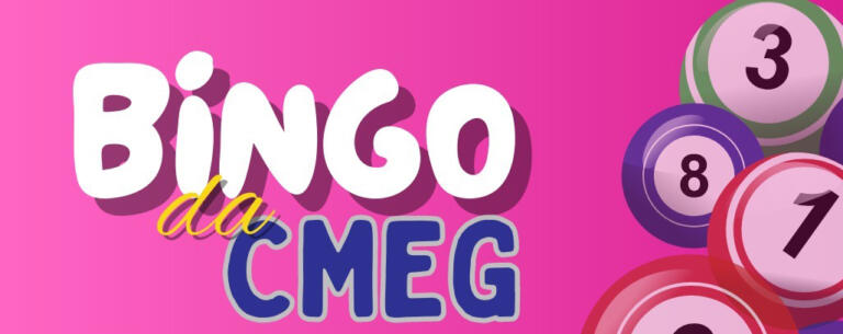 Câmara da Mulher Empreendedora promove bingo beneficente em prol do asilo neste sábado