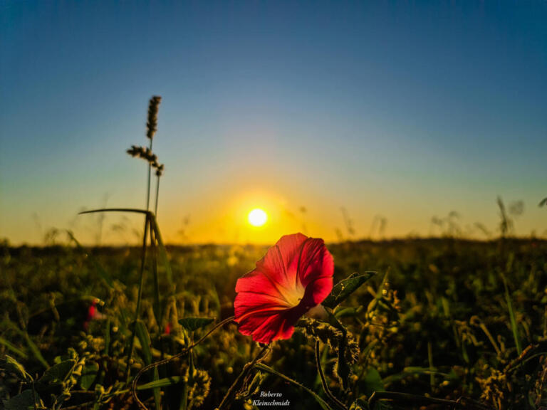 Por fora, por dentro