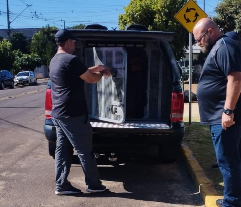 Homem acusado de cometer roubo em Novo Sarandi é preso em Marechal Rondon