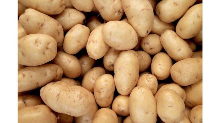 Índice do Ipardes confirma desaceleração da inflação no Paraná em maio