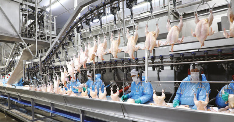 42,3% dos empregos em Marechal Rondon são em indústrias