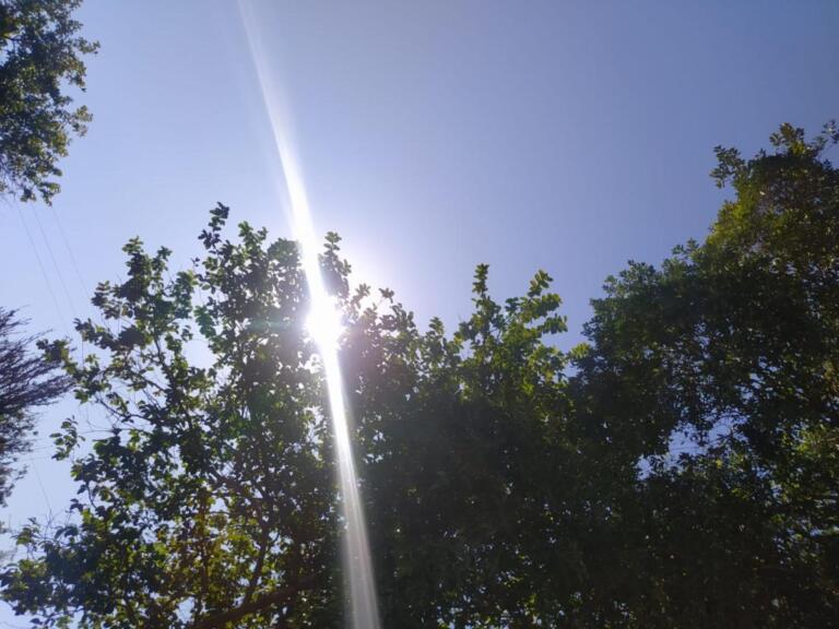 Com previsão de chuva apenas para julho, próximos dias devem ser quentes e ensolarados em Marechal Rondon