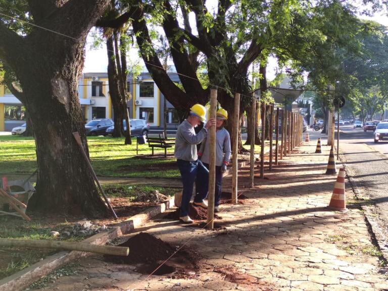 Começam as intervenções para a revitalização da Praça Willy Barth; entorno recebe tapume