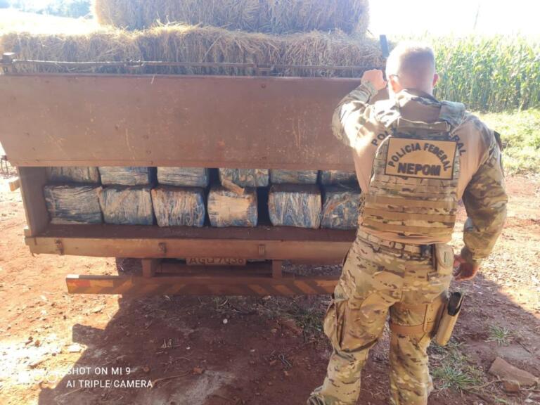 BPFron e PF apreendem três toneladas de maconha em Toledo