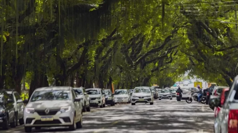 Município do Oeste está entre as 20 cidades com maior PIB do interior do Brasil