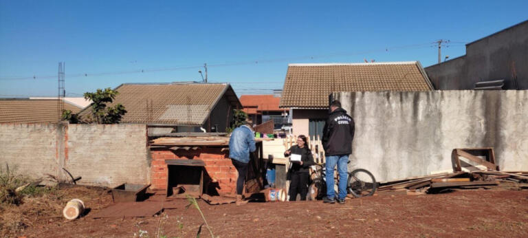 Cães e galos em situação de maus-tratos levam proprietário à prisão em Toledo