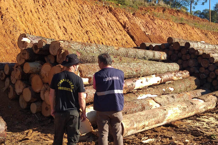 Receita Estadual emitiu 1.705 autos de infração para recuperar R$ 666,2 milhões neste ano