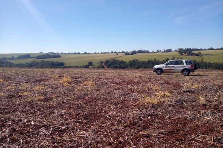 Vazio sanitário da soja começa neste sábado no Paraná